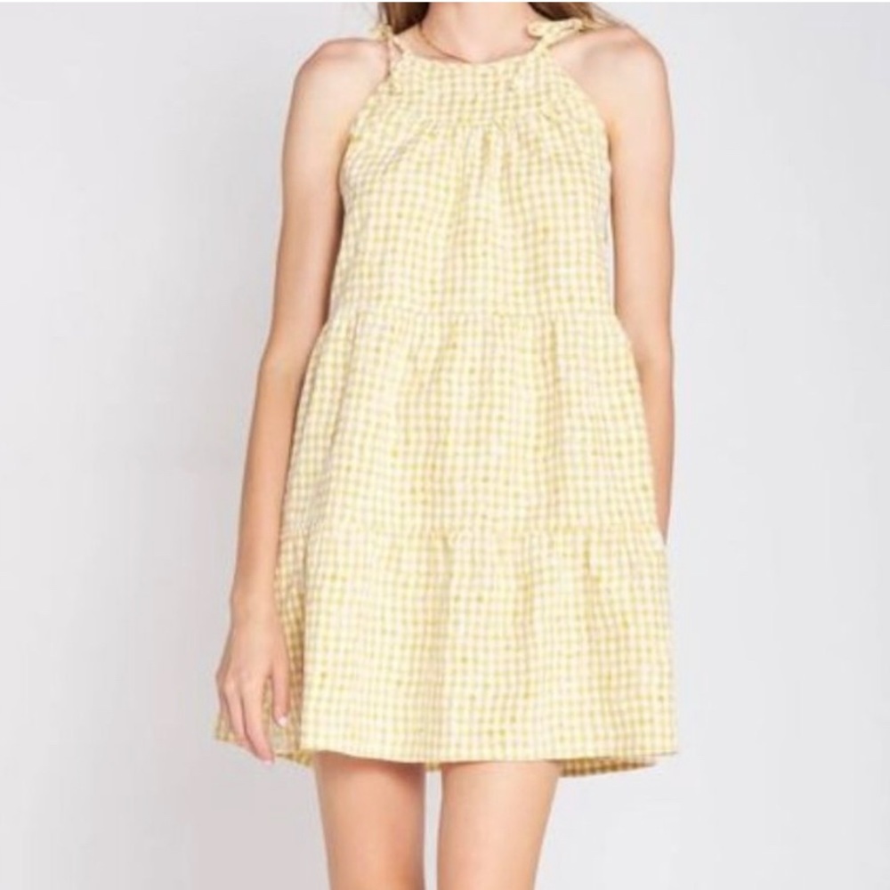 En Saison Kanika Dress Gingham Embroidered Dress
